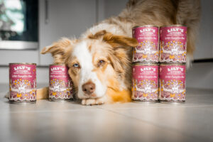 Lily's Kitchen Lagerfeuer-Eintopf Hundefutter Test Erfahrungen